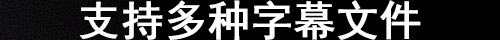 Supports Various Subtitle Formats